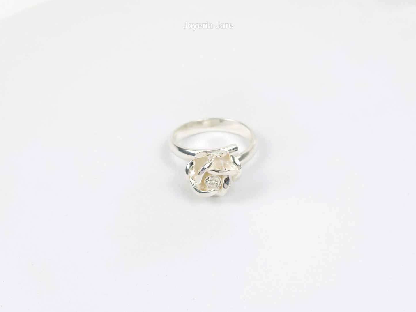 Anillo 100