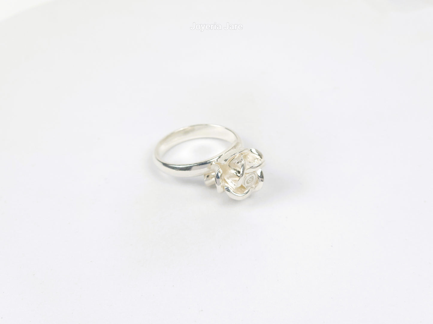 Anillo 100