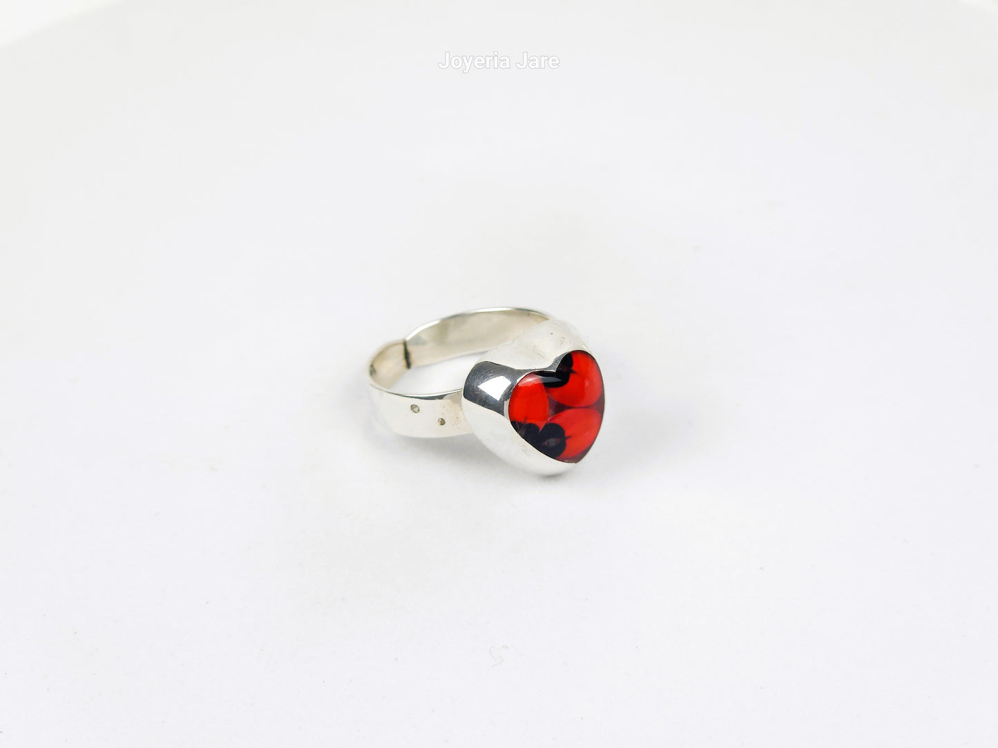 Anillo 109