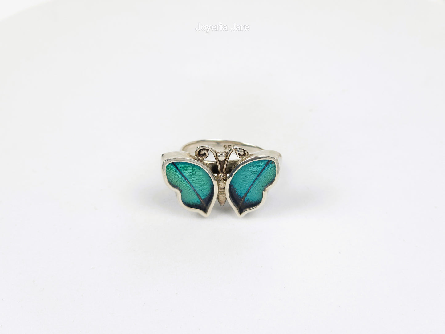 Anillo 127