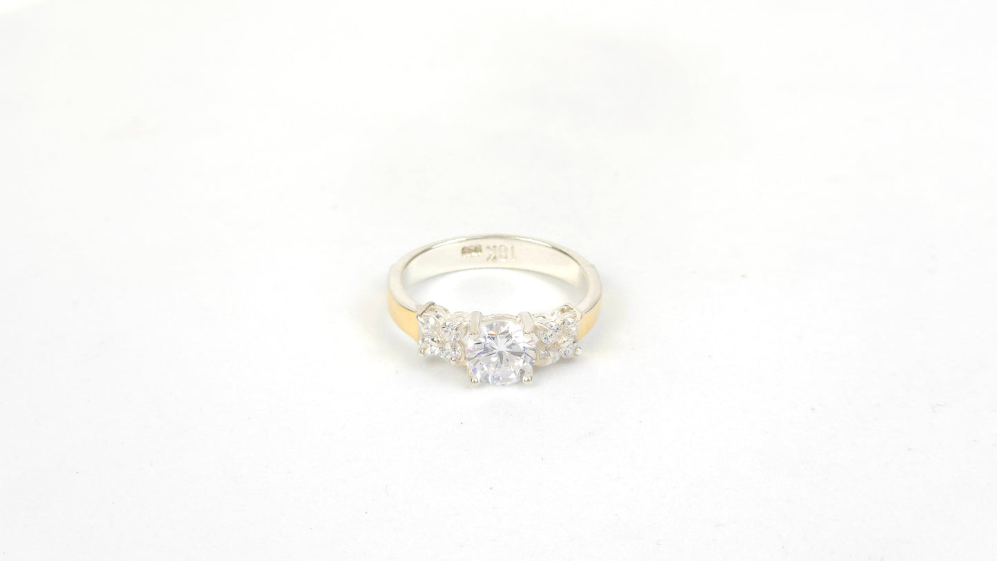 Anillo 176
