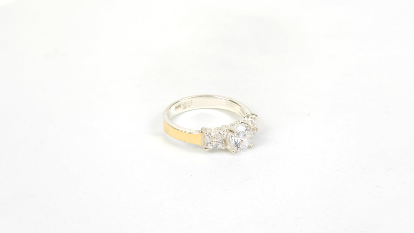 Anillo 176