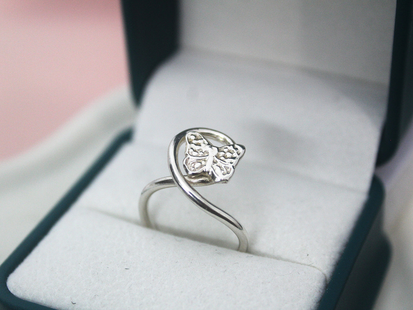 Anillo 7