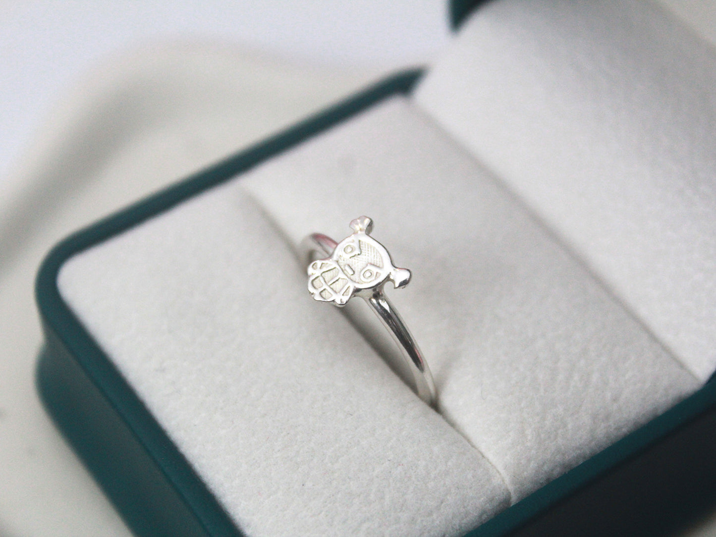 Anillo 53