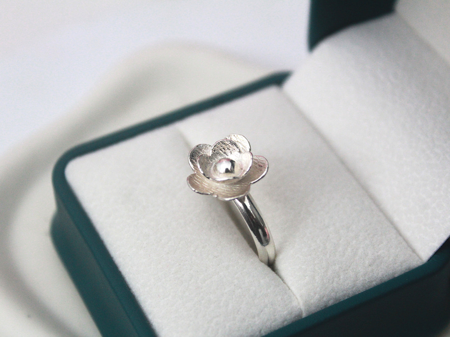 Anillo 101