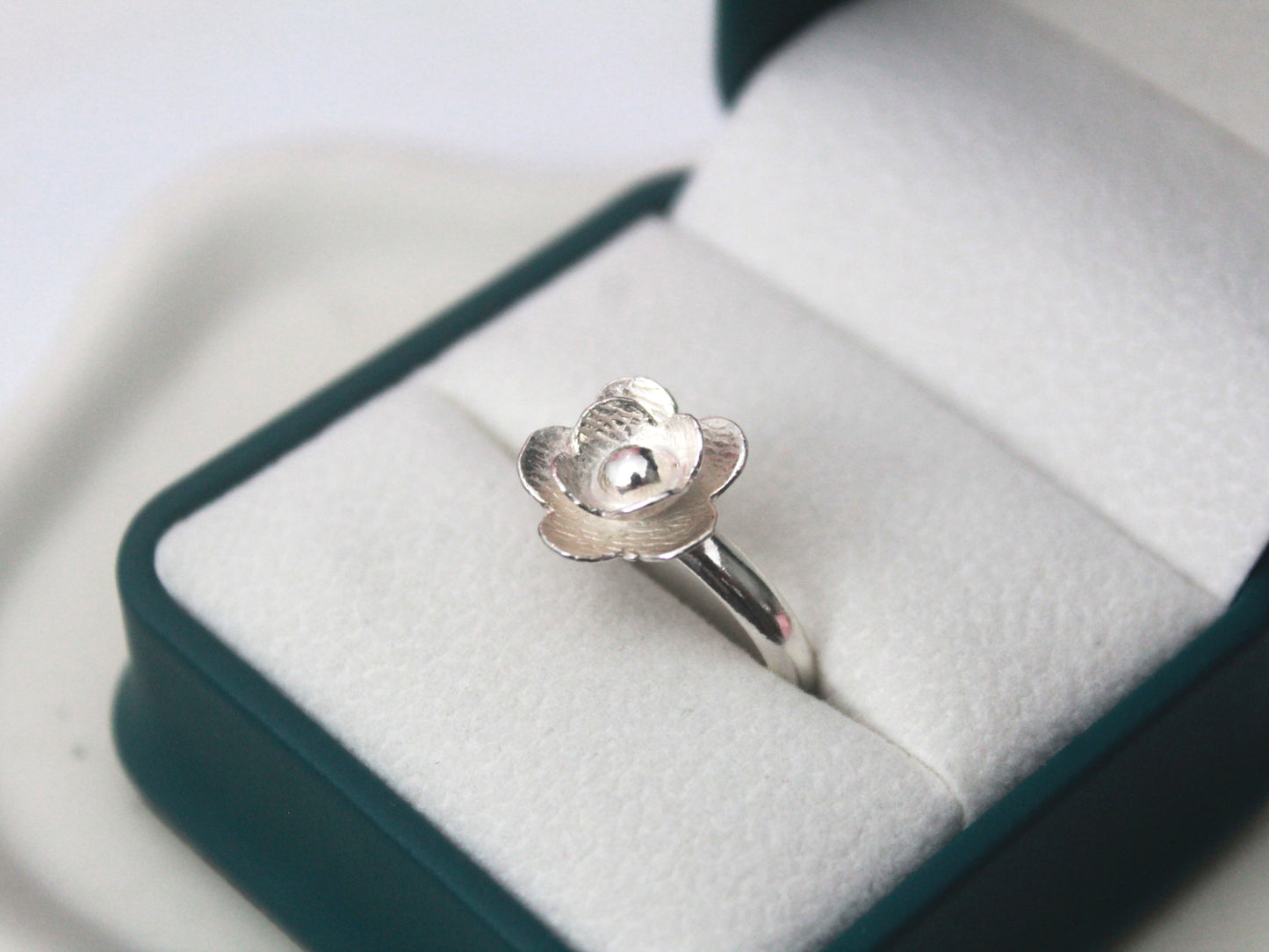 Anillo 101