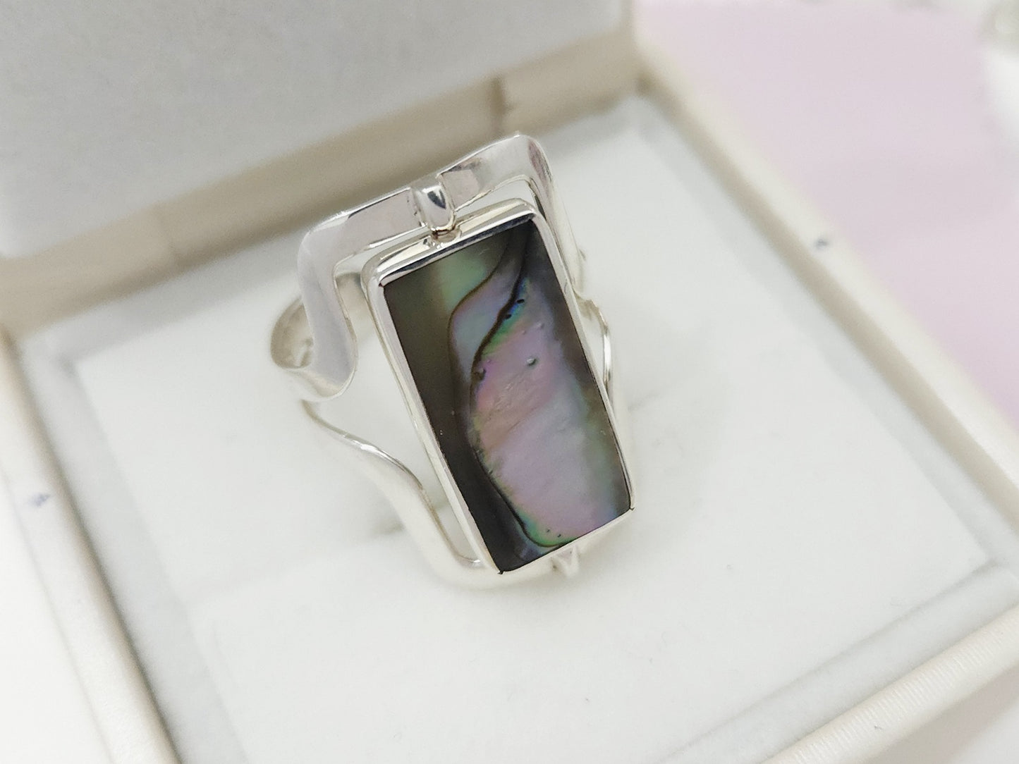 Anillo 113