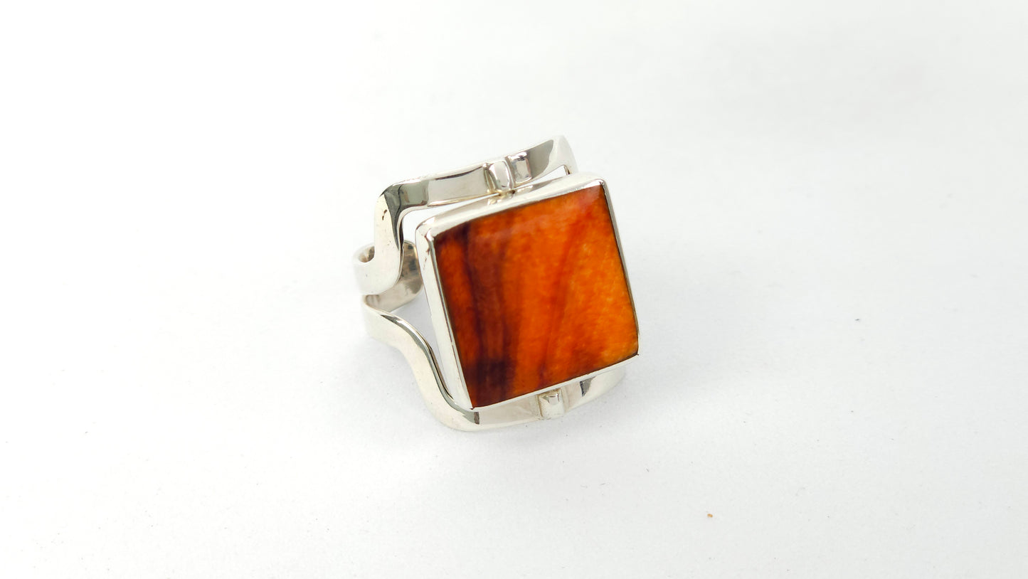 Anillo 107