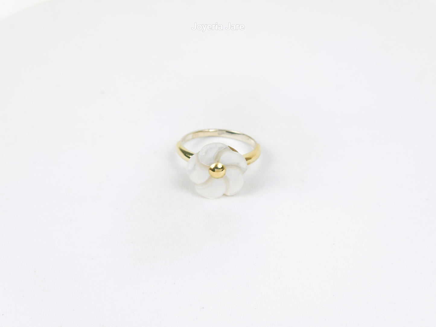 Anillo 124