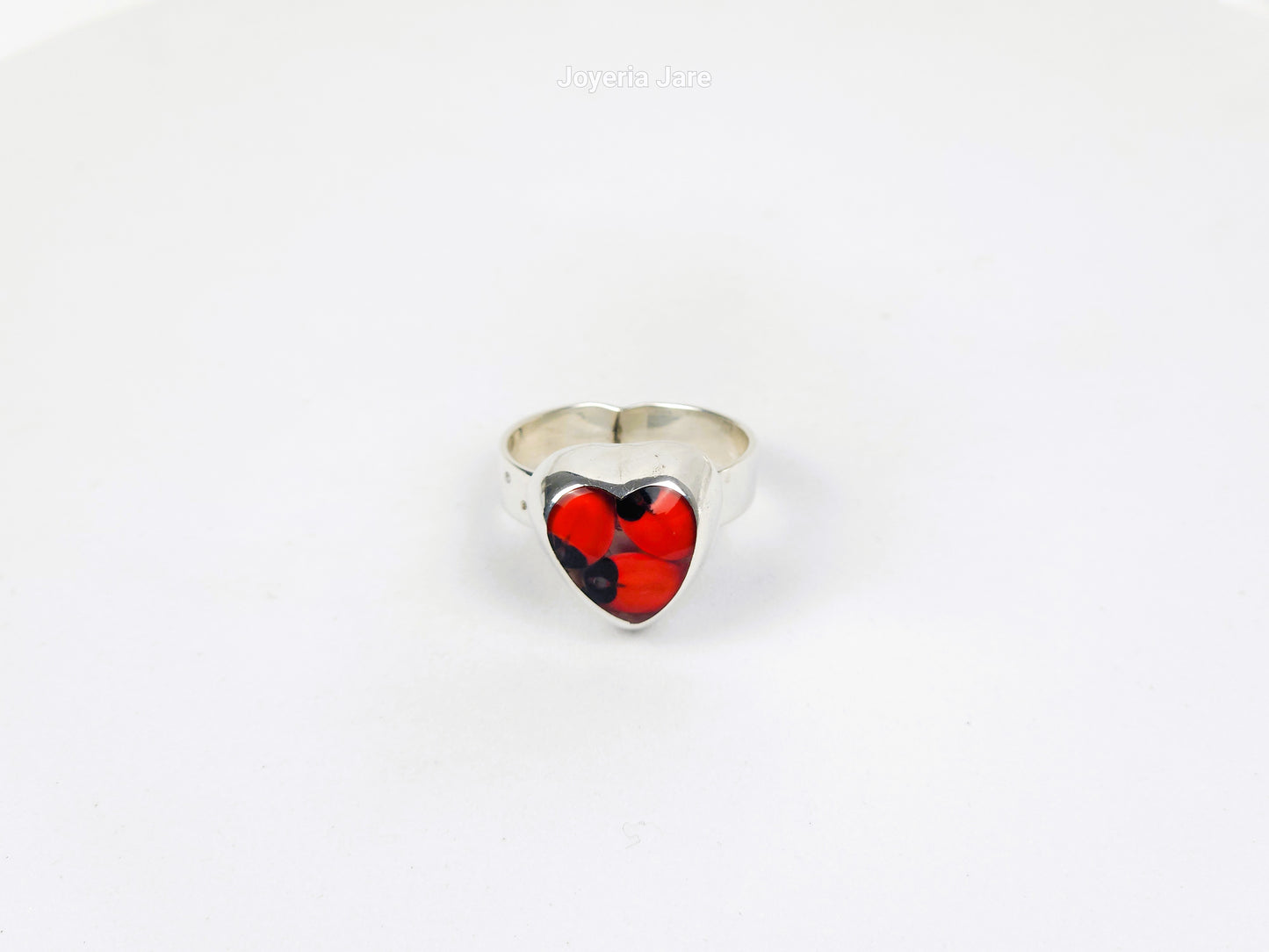 Anillo 109