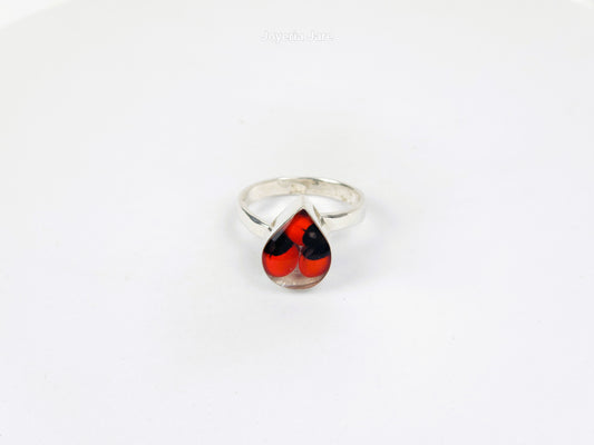 Anillo 109