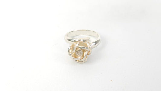 Anillo 100