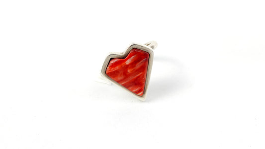 Anillo 121