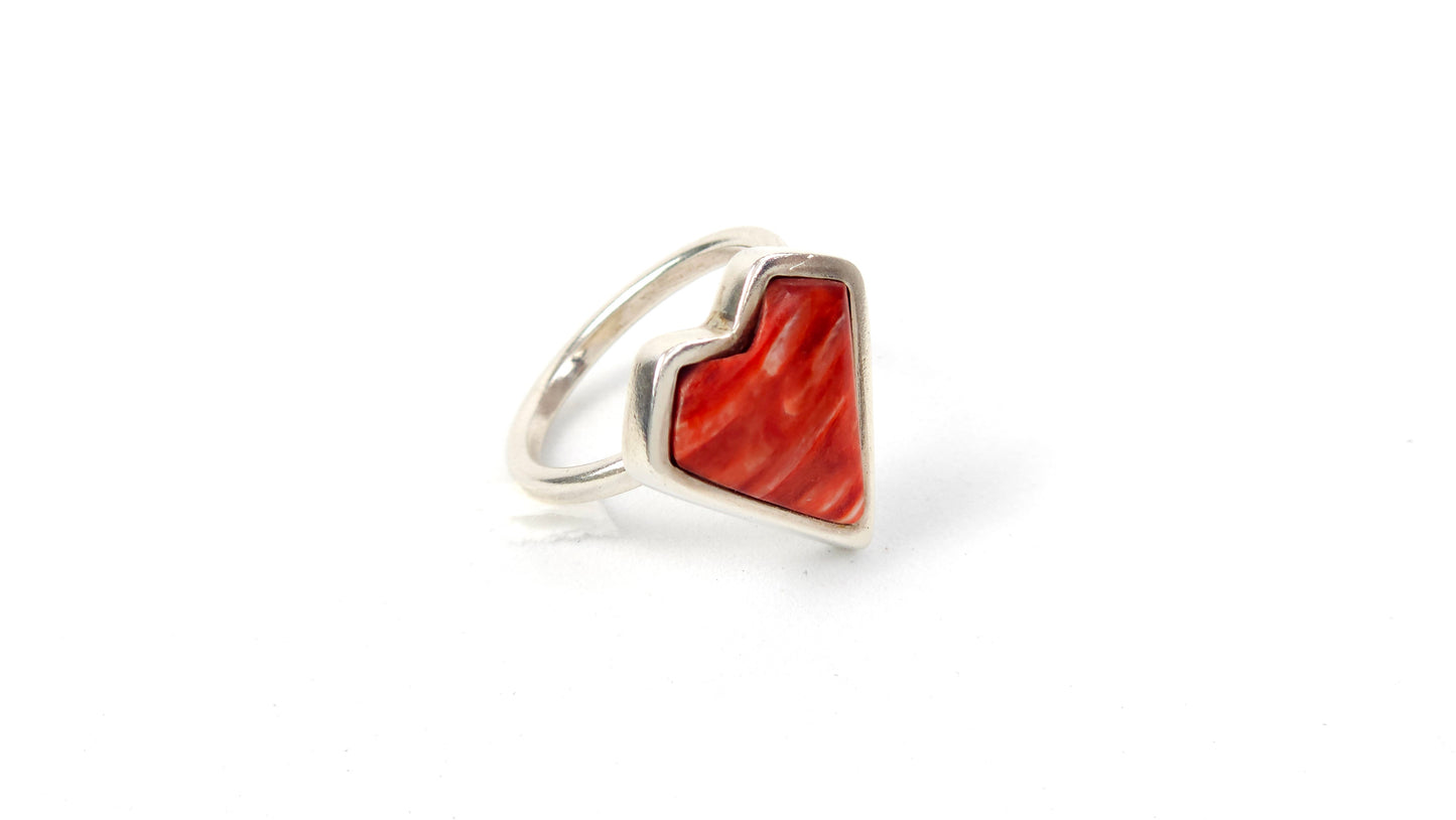 Anillo 121