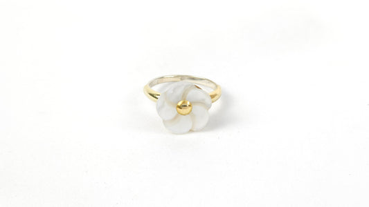 Anillo 124