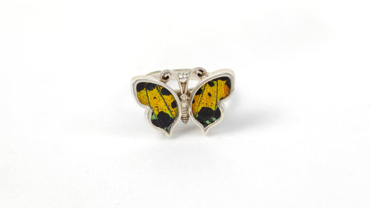 Anillo 127