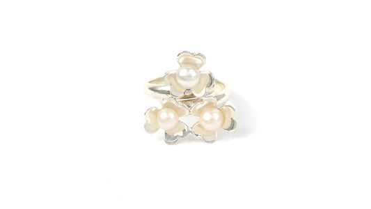 anillo 132