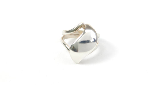 Anillo 14