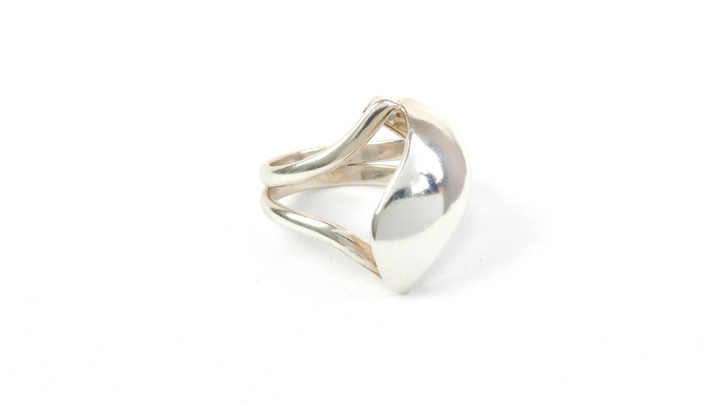 Anillo 14