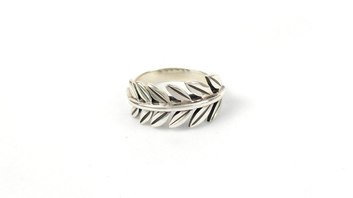 Anillo 141