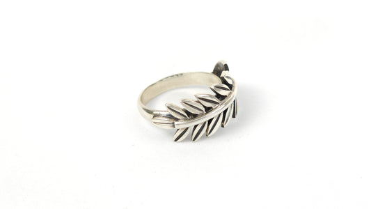 Anillo 141