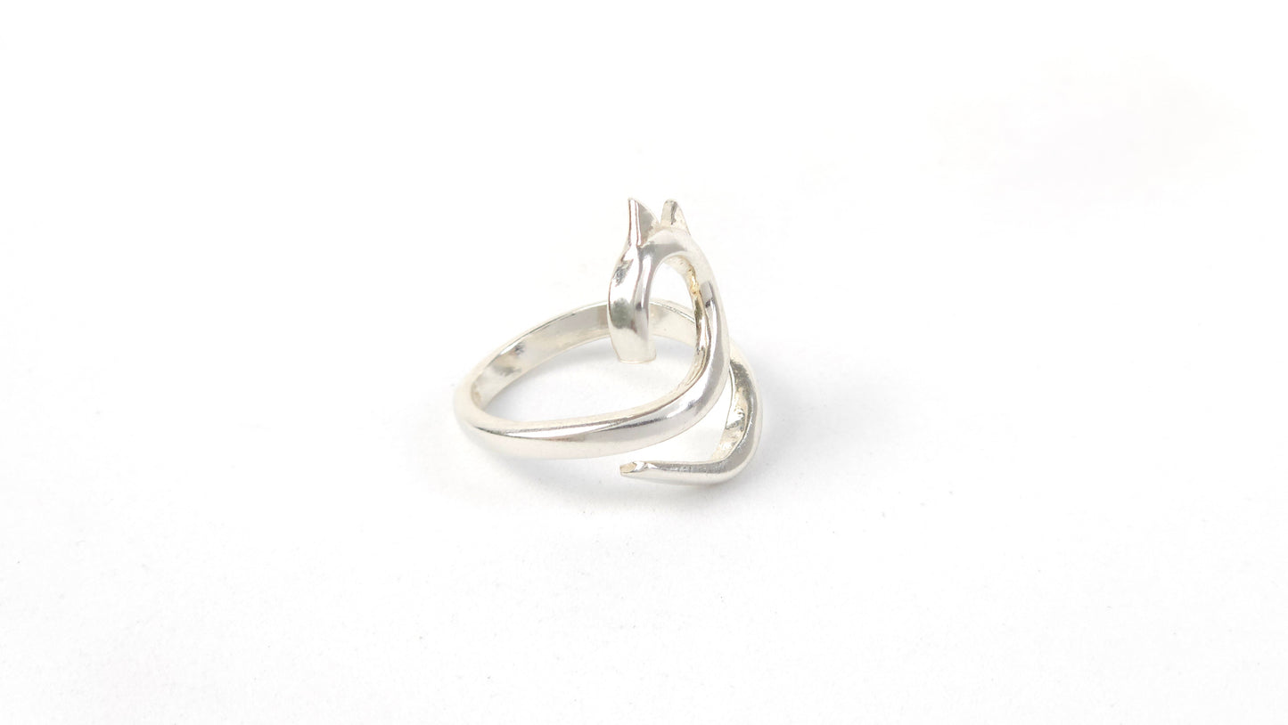 Anillo 145
