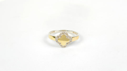 Anillo 171