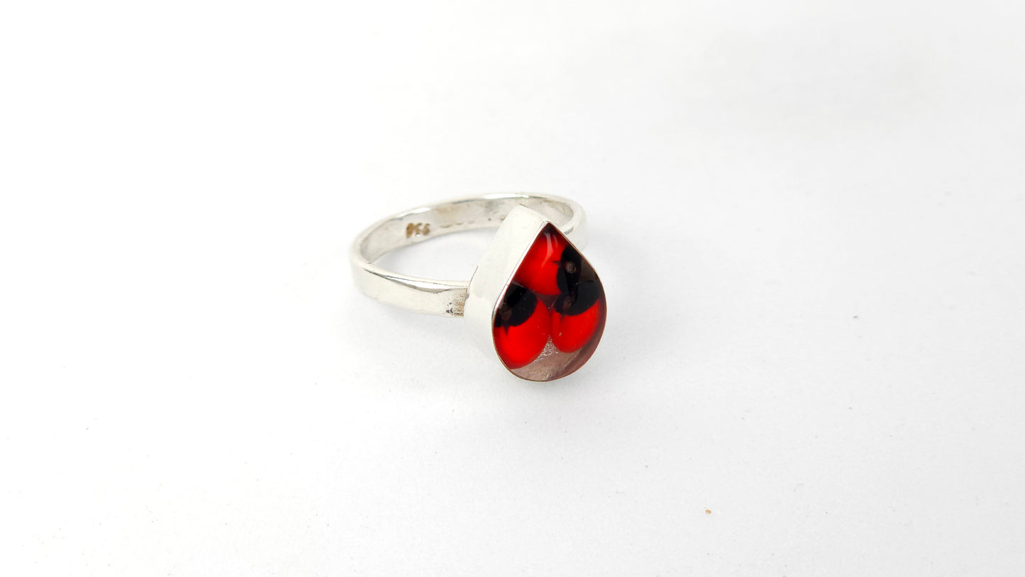 Anillo 109