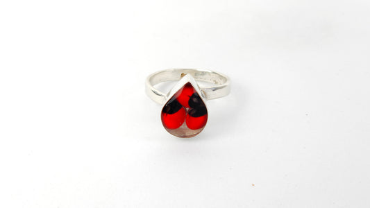 Anillo 109