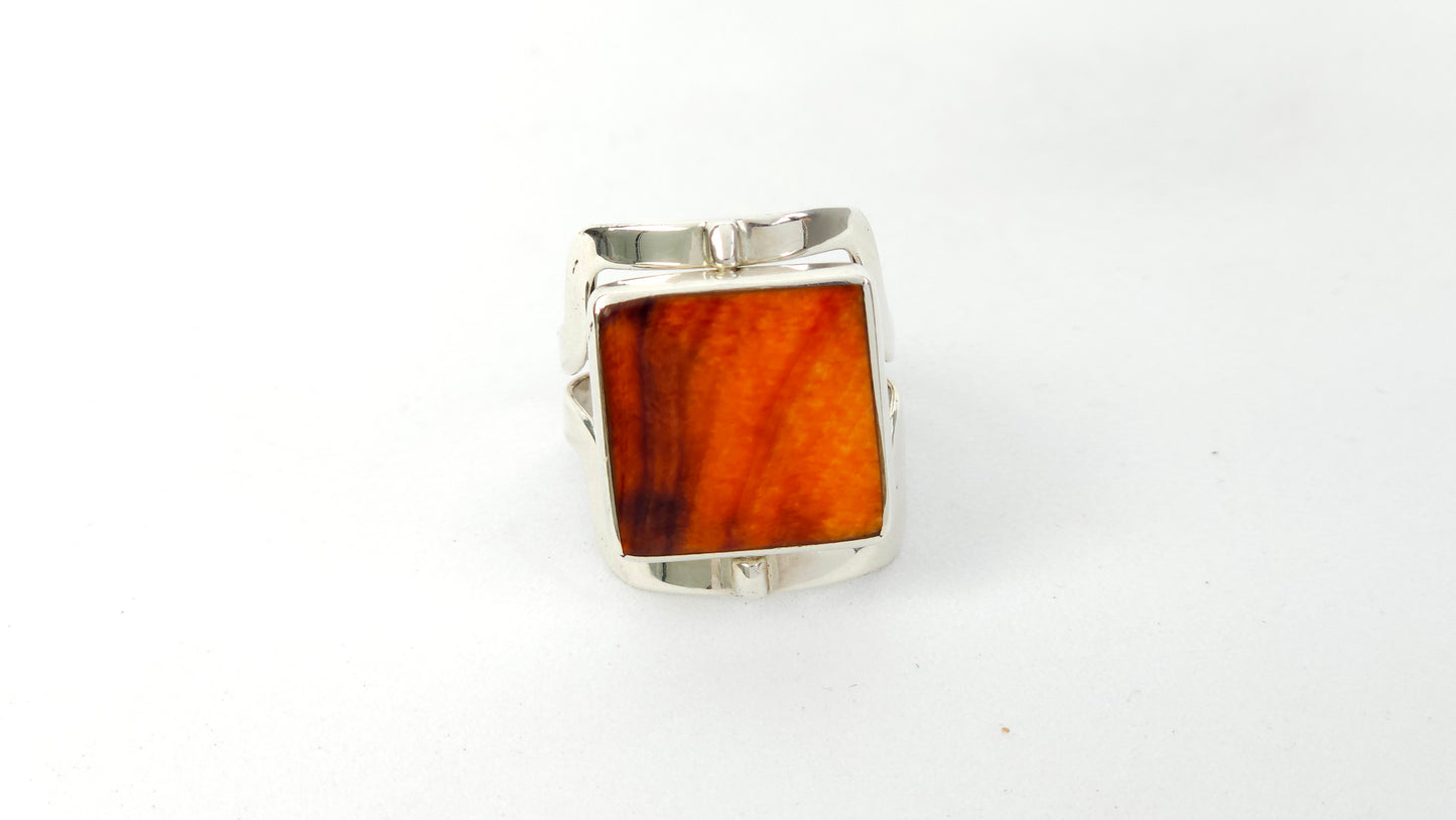 Anillo 107
