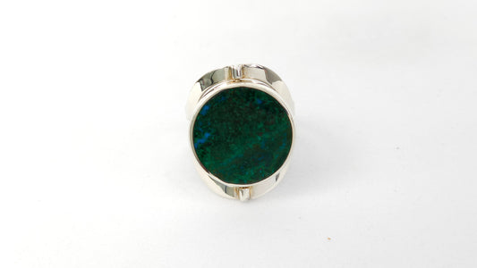Anillo 110