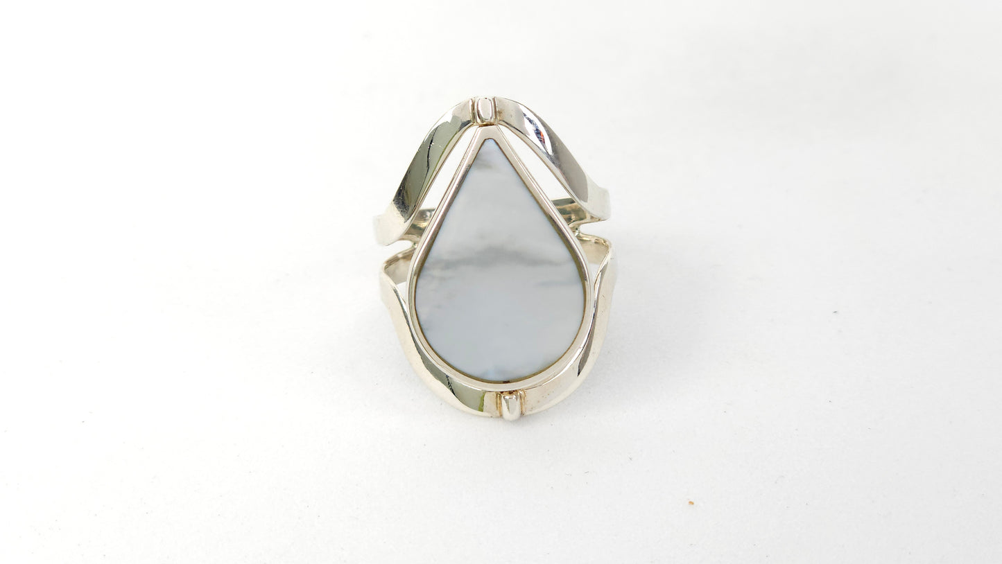 Anillo 113