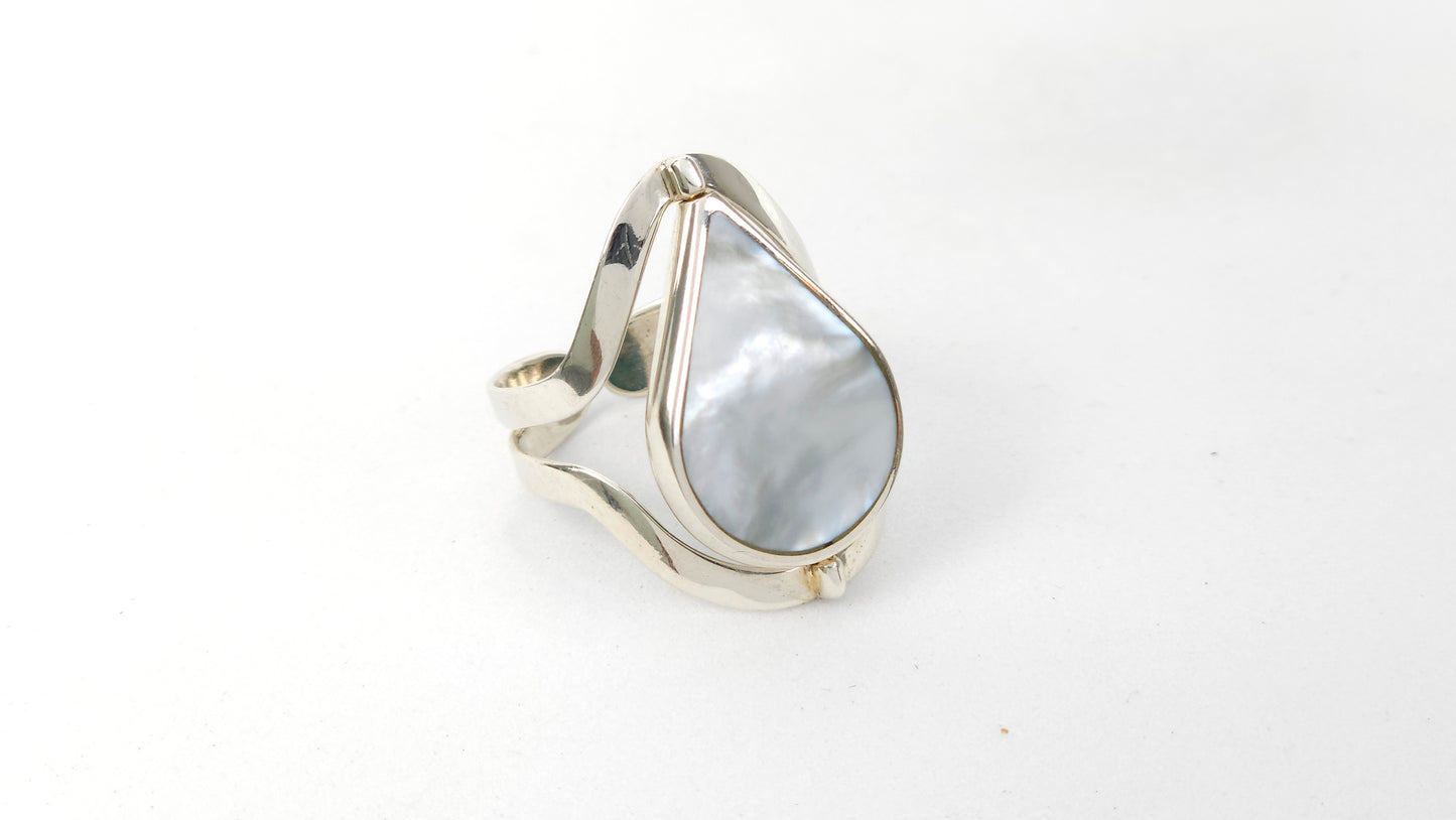 Anillo 113