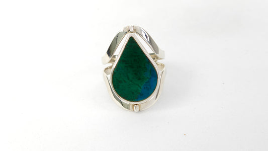 Anillo 113