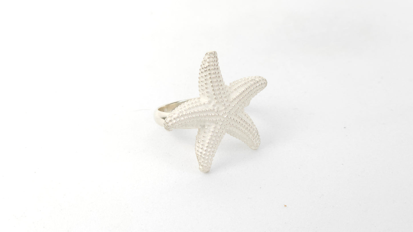 Anillo 104