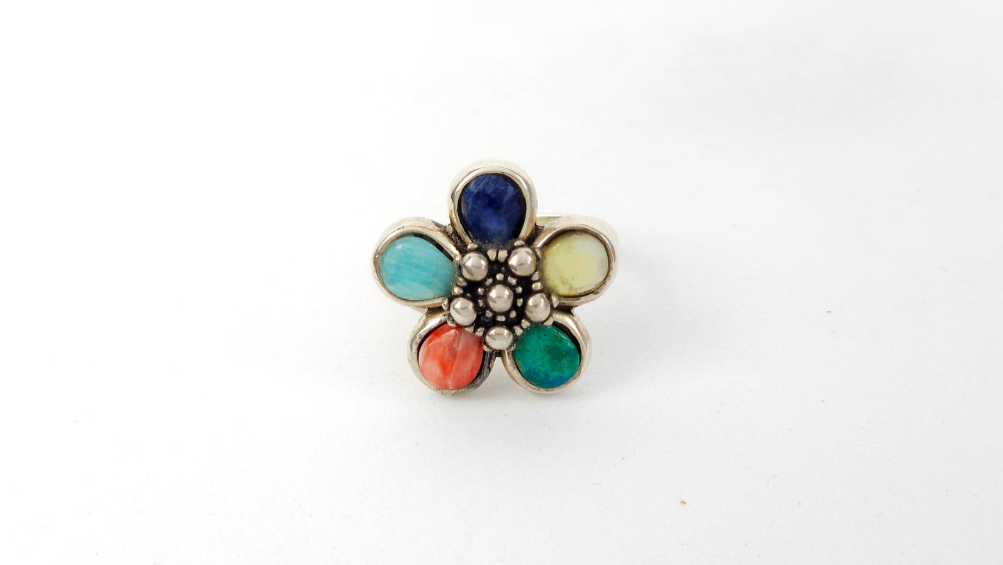 Anillo 105